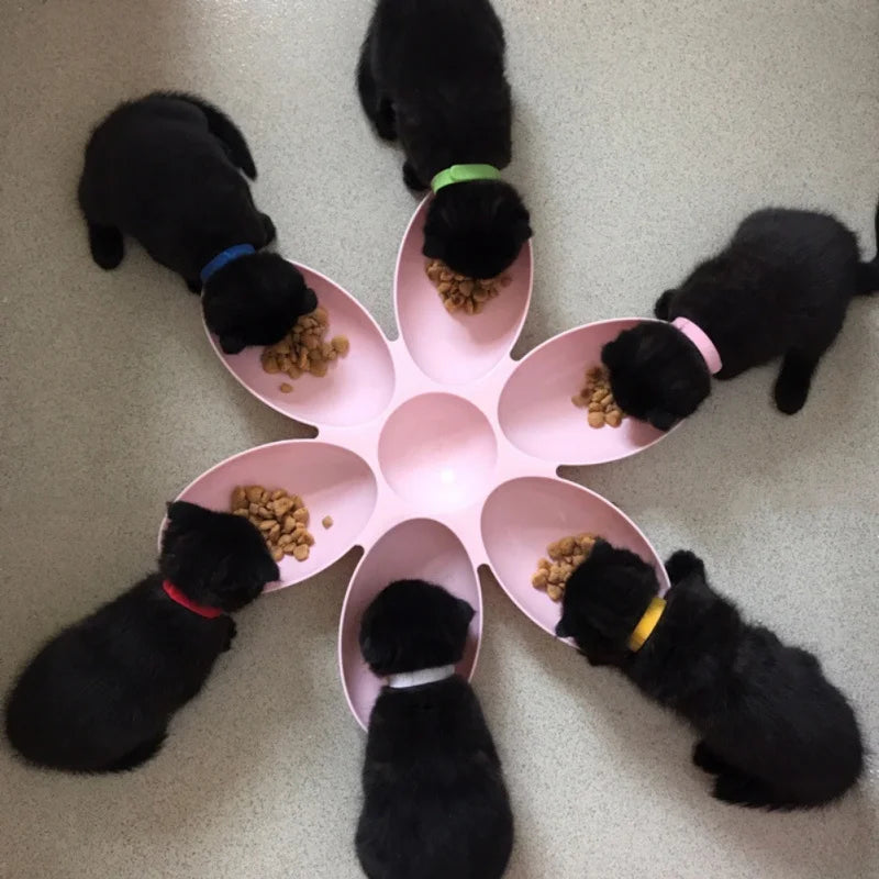 Pet Dog Petal Feeding Bowl 6 In 1 Petal Shape Container for Cat Food and Water Storage Pet Accessories Dog Feeders