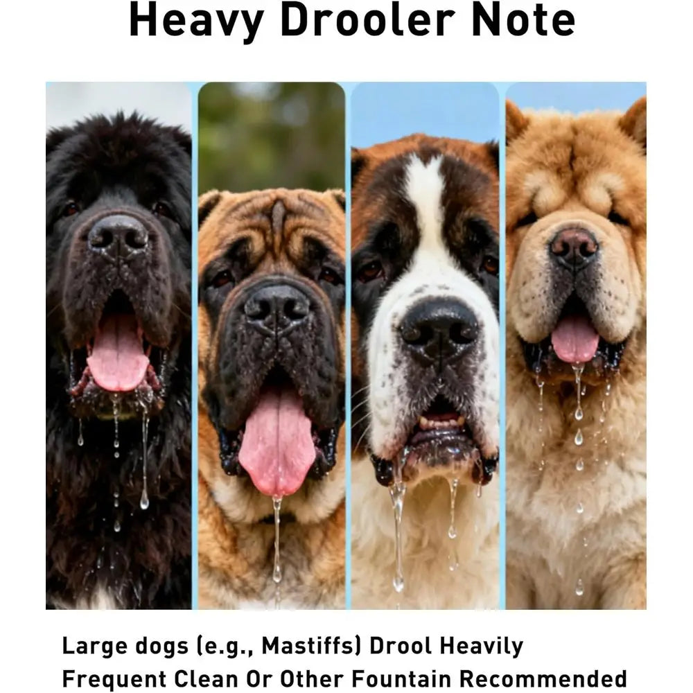 2.6 Gallon Stainless Steel Dog And Cat Water Fountain For Multi Pet Homes