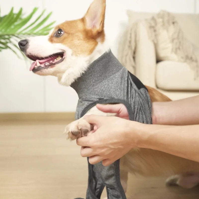 Washable Dog Diaper Pants for Small to Medium Dogs with Nappy Pads Female Dog Underwear Jumpsuit