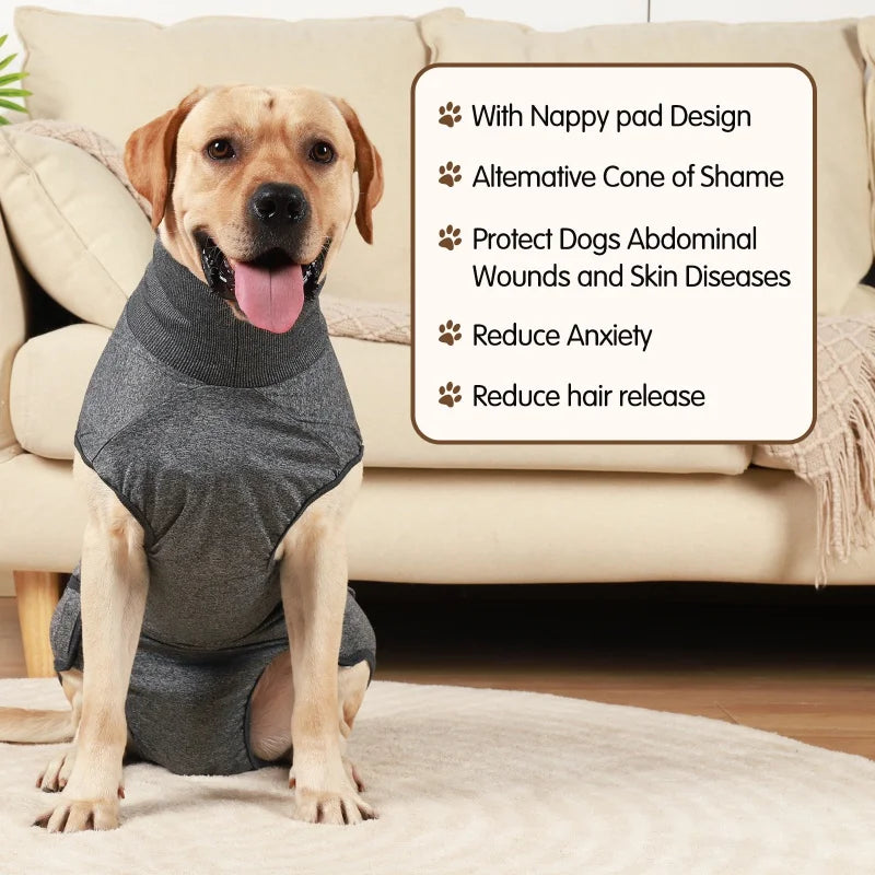 Washable Dog Diaper Pants for Small to Medium Dogs with Nappy Pads Female Dog Underwear Jumpsuit