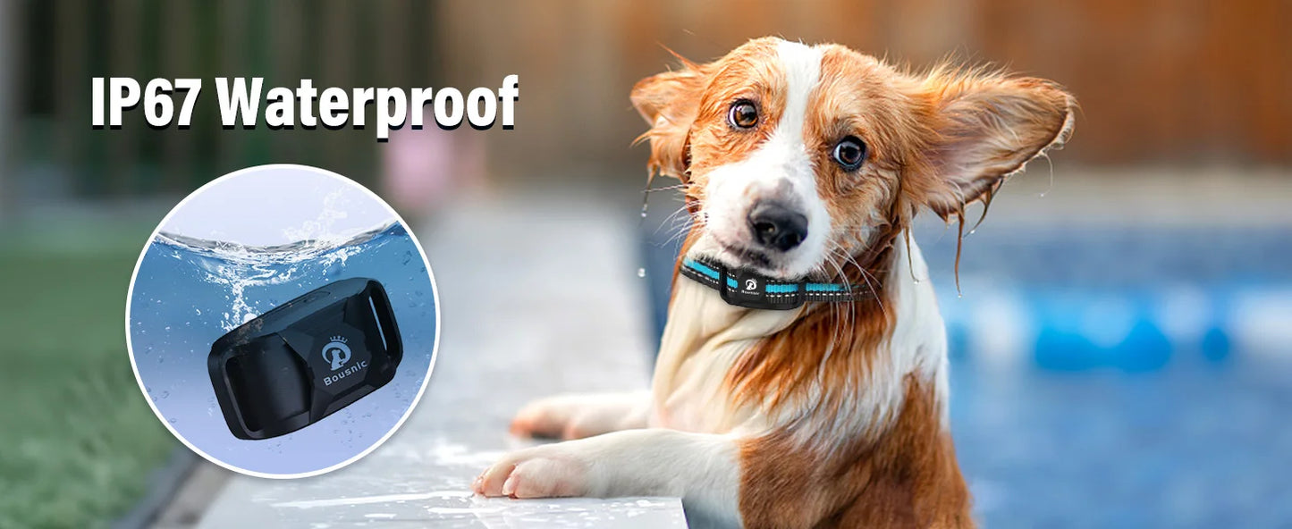 Dog Shock Collar for 2 Dogs 3300 Feet Waterproof Training Collar for Large Medium Small Breeds