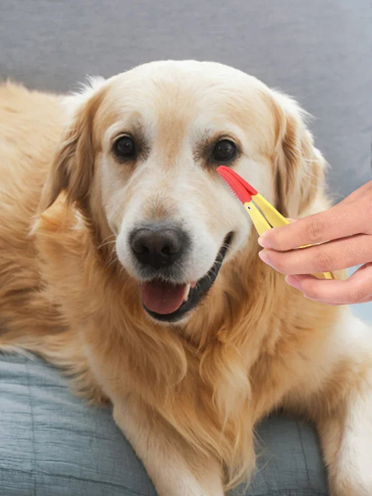 6 Pcs Dog Eye Comb Brush Soft Silicone Pet Tear Stain Remover Portable Grooming Tool Multifunctional Pet Care