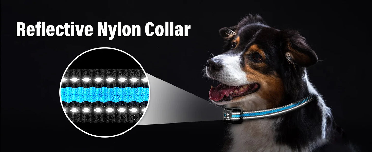 Dog Shock Collar for 2 Dogs 3300 Feet Waterproof Training Collar for Large Medium Small Breeds