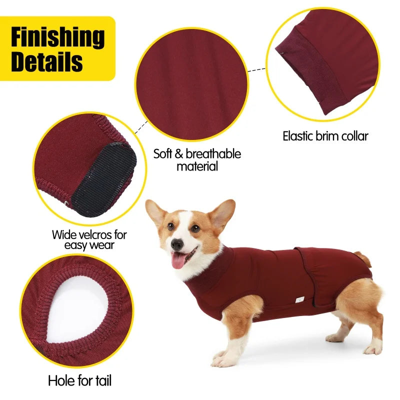 Washable Dog Diaper Pants for Small to Medium Dogs with Nappy Pads Female Dog Underwear Jumpsuit