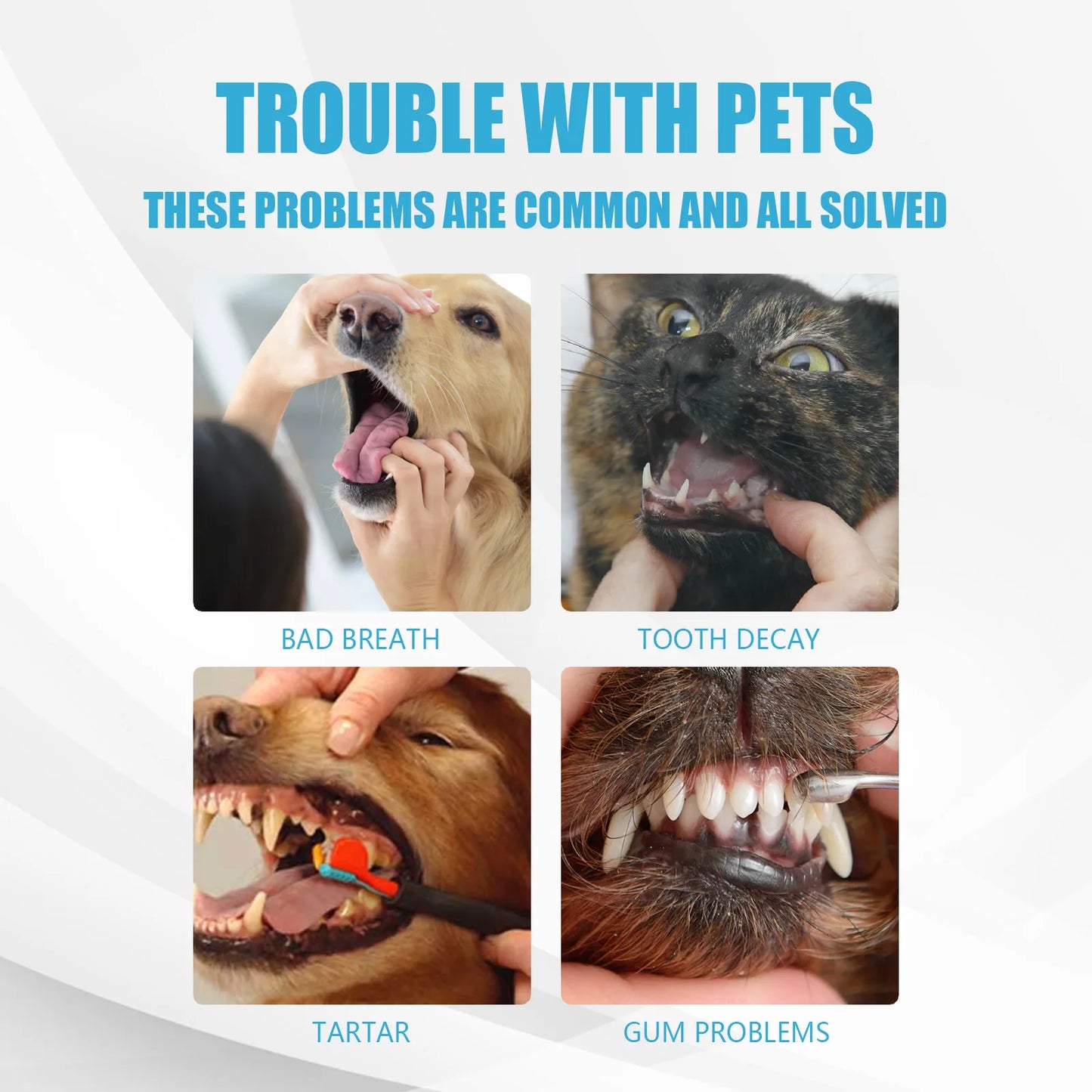 Pet Toothpaste Removes Plaque Freshens Breath Whitens Fights Cavities for Dogs Cats