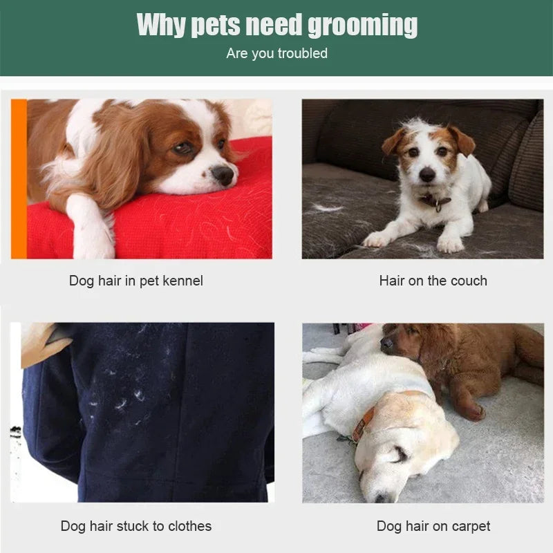 Dog Brush Pet Hair Remover Massage Cat Brush Dog Grooming Comb Wool Collector Pet Supplies