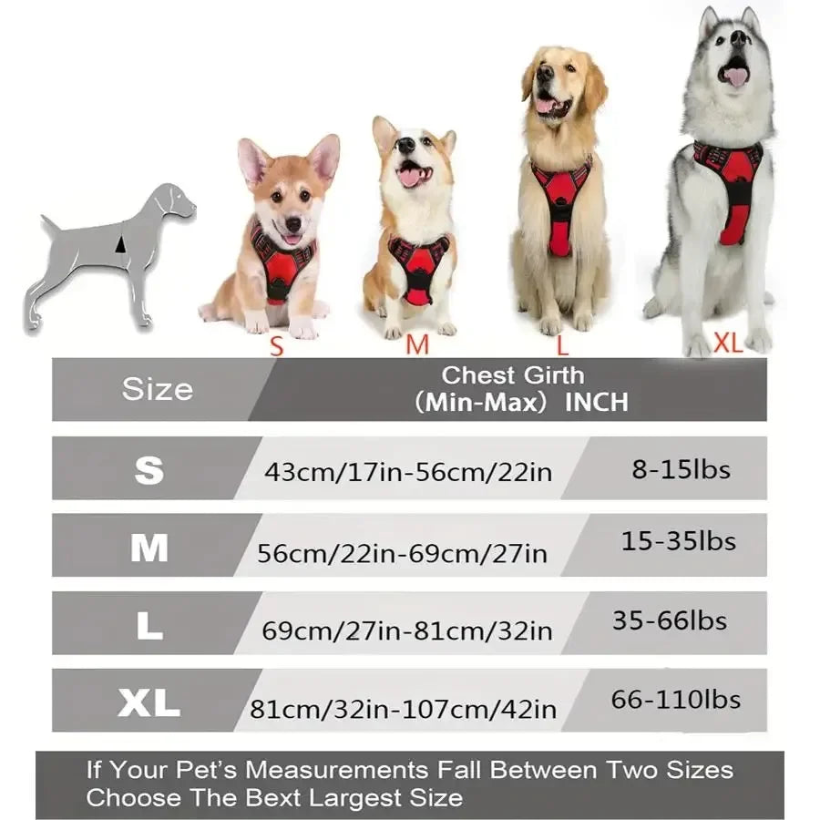 Dog Collars and Harness Vests Leash Set for Medium and Small Puppies Leather Pet Accessories