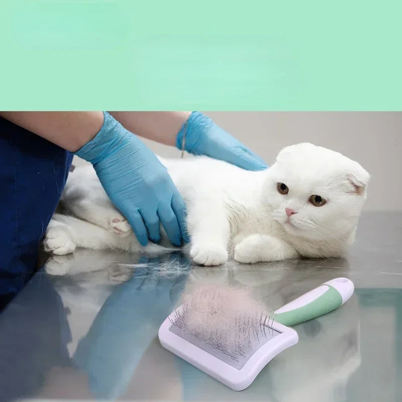 Pet Dog Brush Comb Cat Hair Remover Massage Grooming Tool for Small Breeds