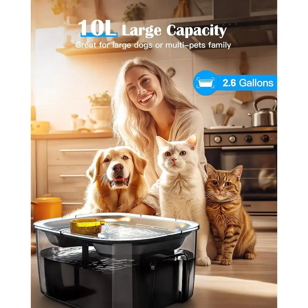 2.6 Gallon Stainless Steel Dog And Cat Water Fountain For Multi Pet Homes