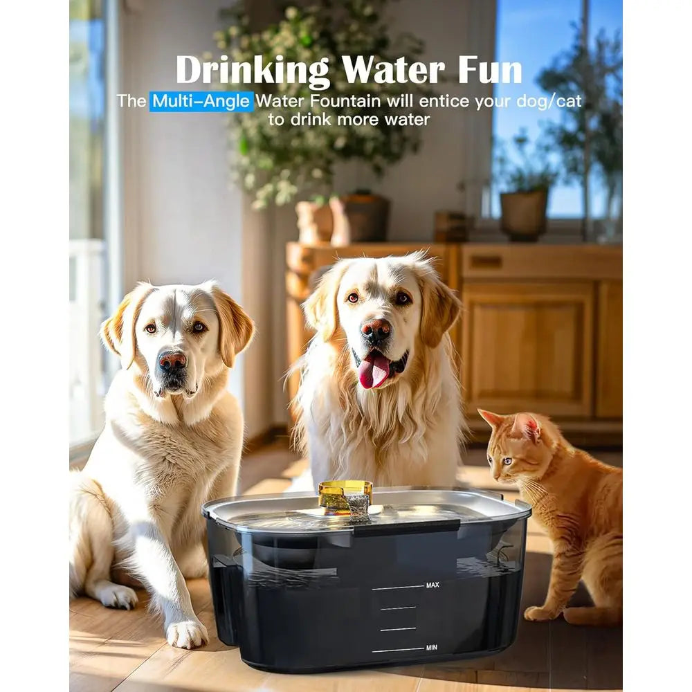 2.6 Gallon Stainless Steel Dog And Cat Water Fountain For Multi Pet Homes