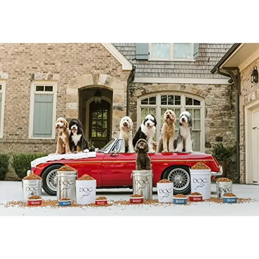 Large White Dog Food Canister 40 Lbs Storage Airtight Lid Eco-Friendly Alloy Steel Lead-Free Clean Neat Healthy Storage