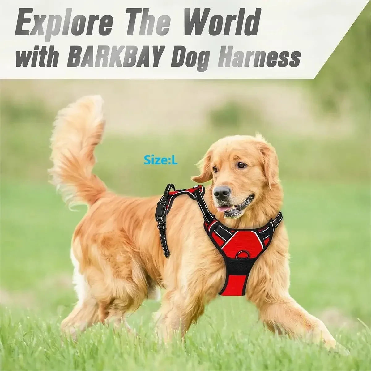 Dog Collars and Harness Vests Leash Set for Medium and Small Puppies Leather Pet Accessories