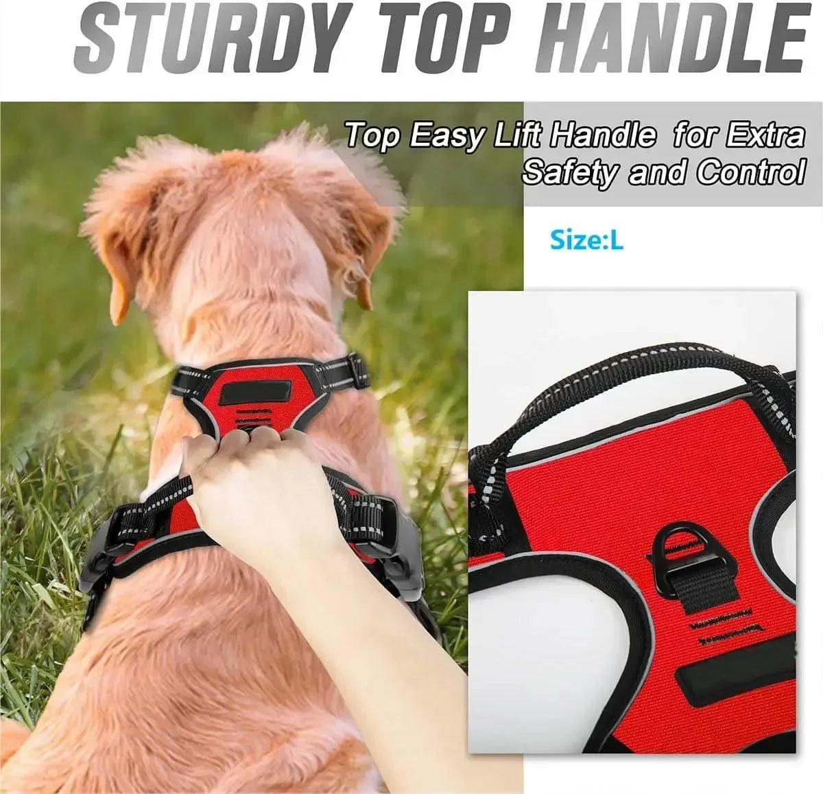 Dog Collars and Harness Vests Leash Set for Medium and Small Puppies Leather Pet Accessories