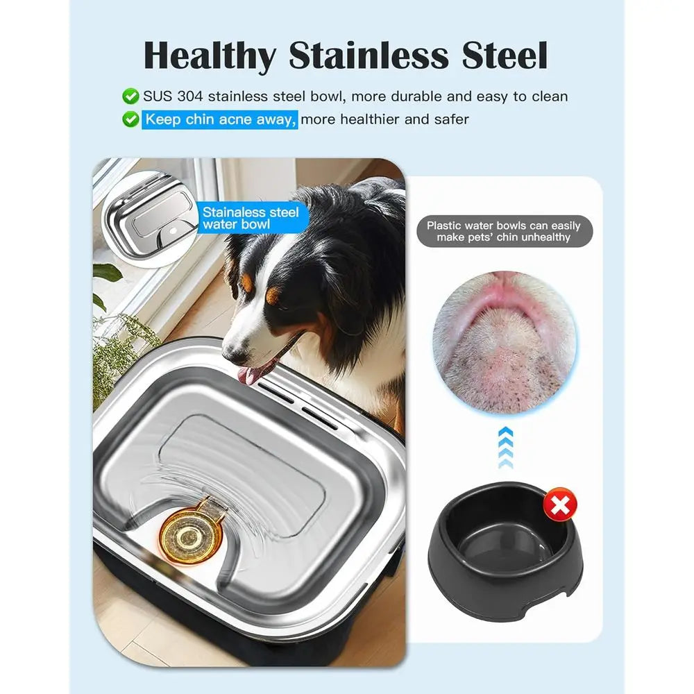 2.6 Gallon Stainless Steel Dog And Cat Water Fountain For Multi Pet Homes