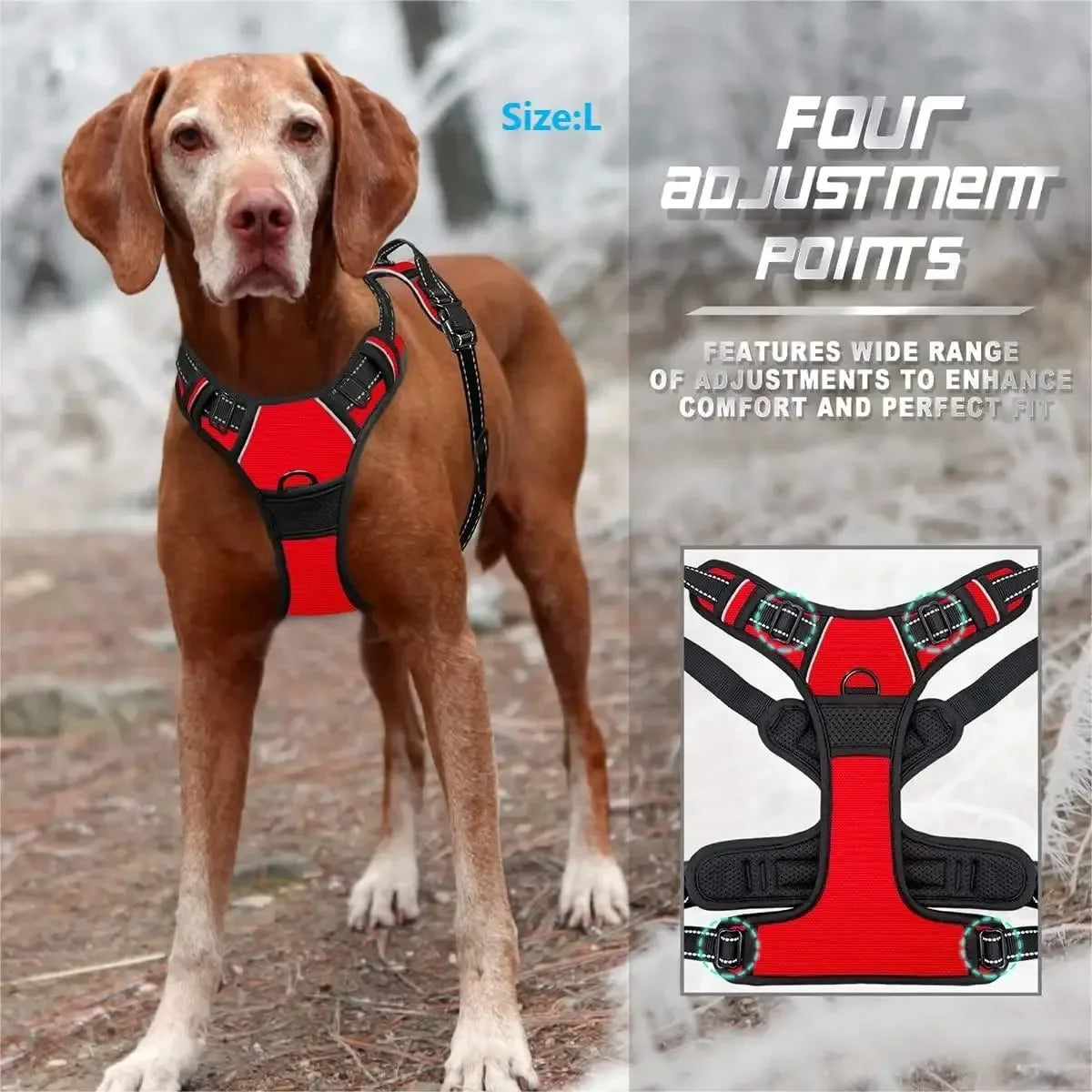 Dog Collars and Harness Vests Leash Set for Medium and Small Puppies Leather Pet Accessories