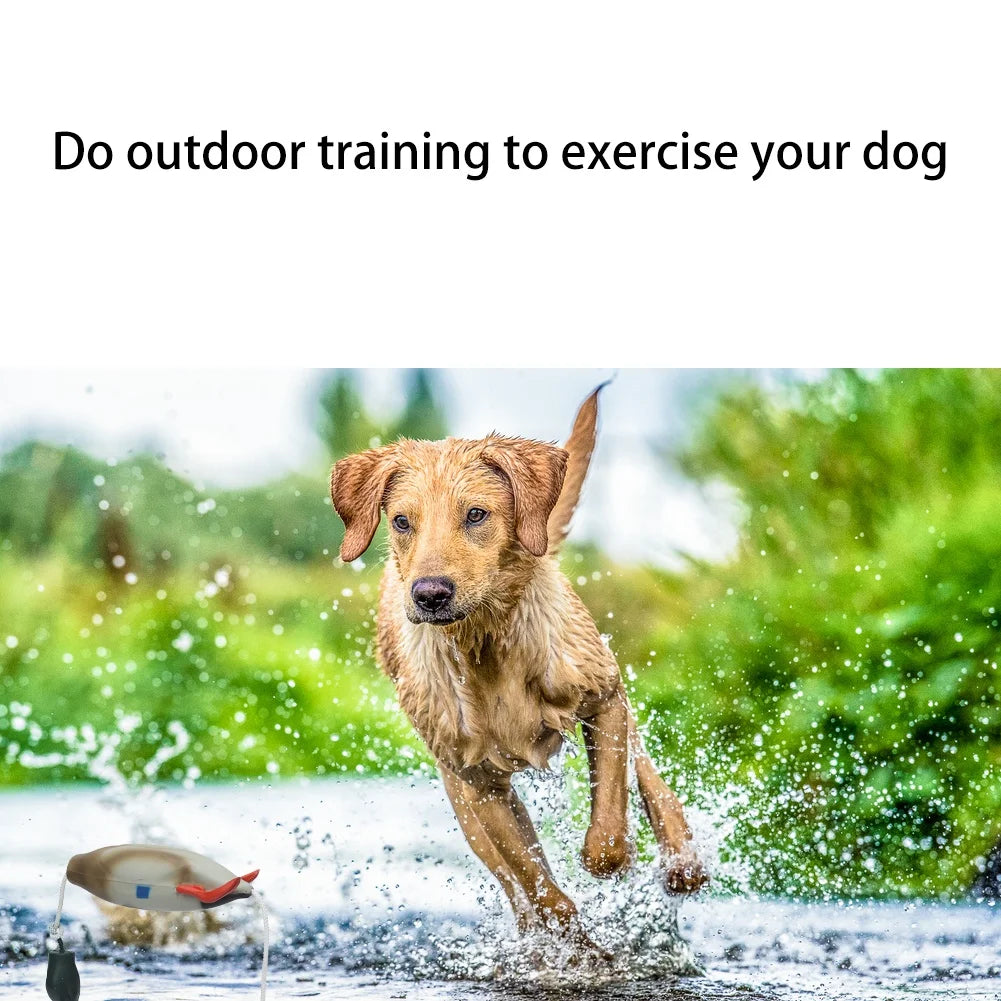 Duck Bumper Toy for Dogs Mallard Bird Dummy for Waterfowl Training Puppy and Hunting Dog Retrieval Tool