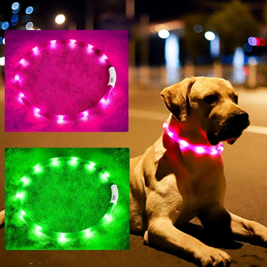 Rechargeable LED Dog Collar for Night Walks with 3 Flashing Modes Improved Safety and Visibility