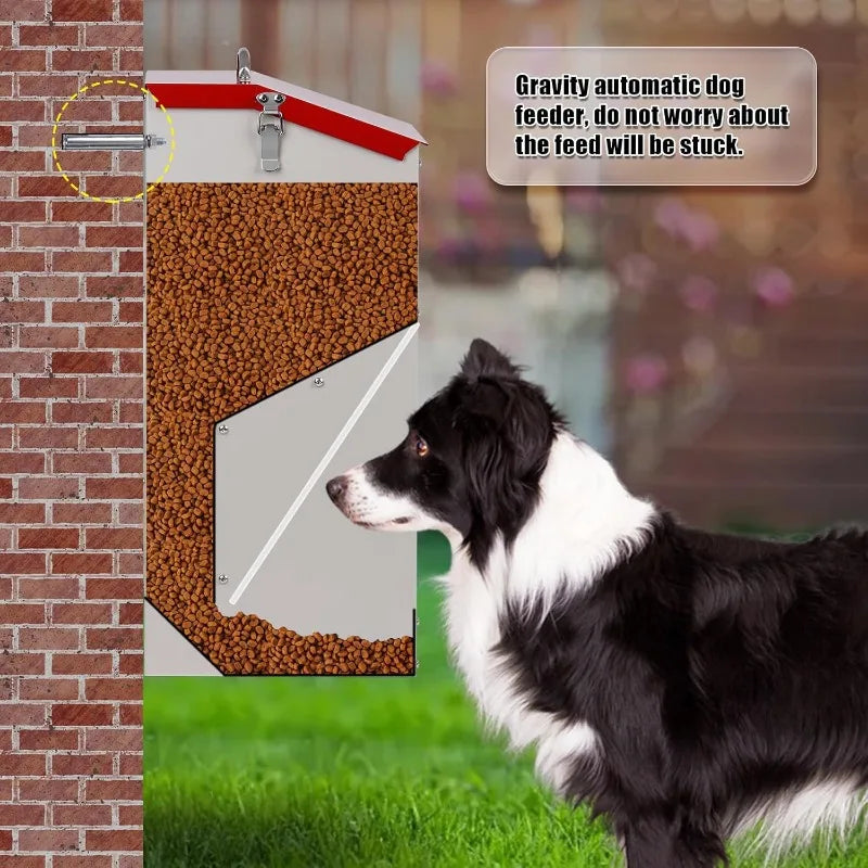 Galvanized Automatic Dog Feeder Large Breed Dog Food Dispenser 25lbs Outdoor Gravity Food Feeder for Large Dogs