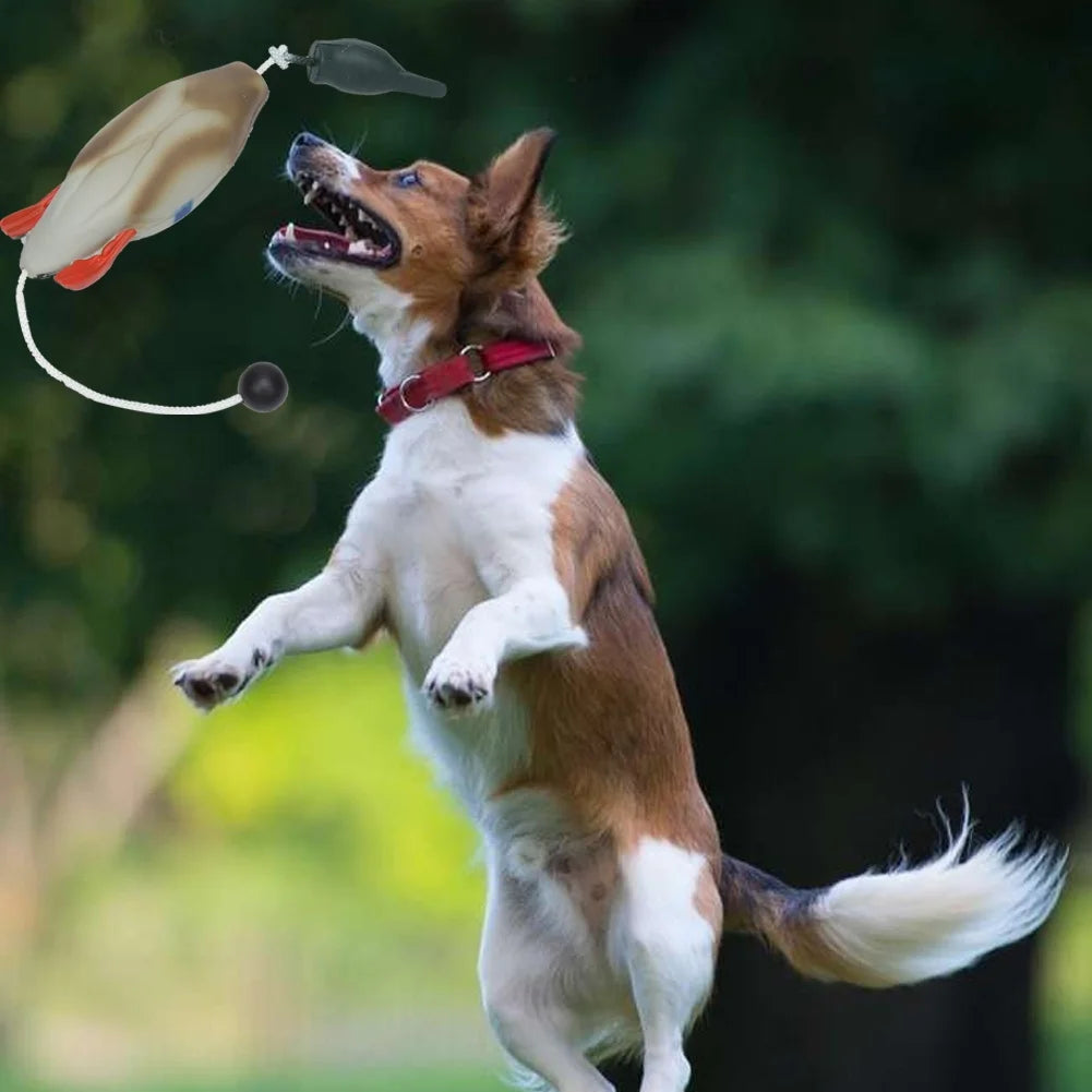 Duck Bumper Toy for Dogs Mallard Bird Dummy for Waterfowl Training Puppy and Hunting Dog Retrieval Tool