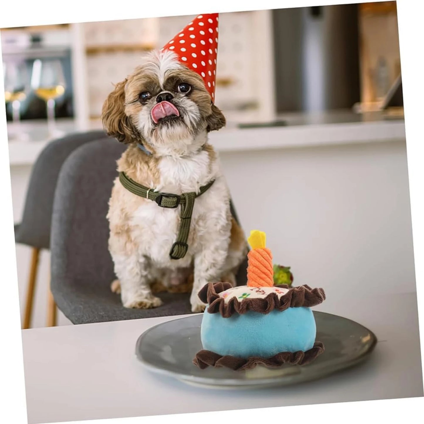 Soft and Adorable Medium and Large Plush Dog Toy Blue Birthday Cake