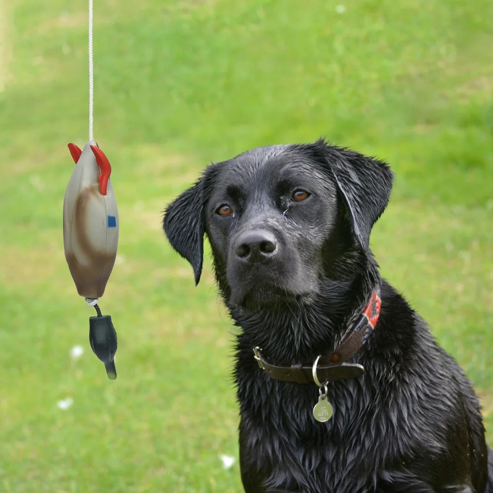 Duck Bumper Toy for Dogs Mallard Bird Dummy for Waterfowl Training Puppy and Hunting Dog Retrieval Tool