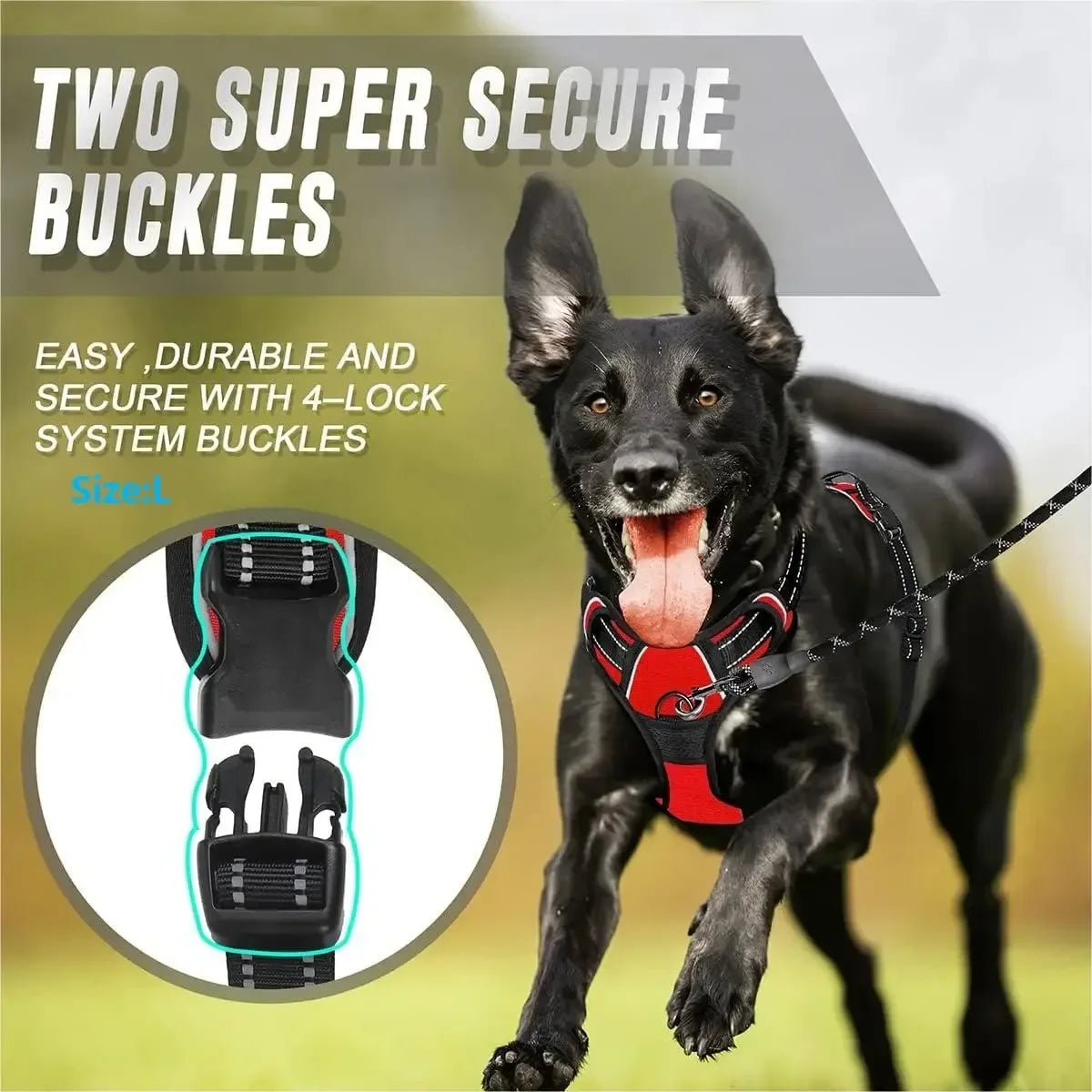 Dog Collars and Harness Vests Leash Set for Medium and Small Puppies Leather Pet Accessories