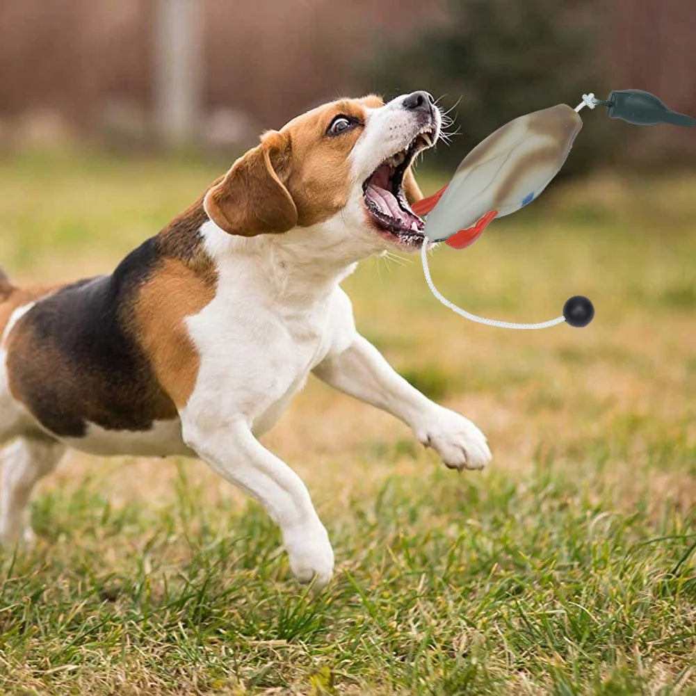 Duck Bumper Toy for Dogs Mallard Bird Dummy for Waterfowl Training Puppy and Hunting Dog Retrieval Tool