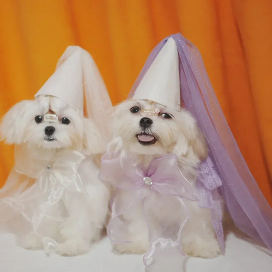 Birthday Party Dog Accessories Hat Jewelry Pet Wedding Bow Scarf Saliva Towel Teddy Triangle Scarf Pomeranian Bib