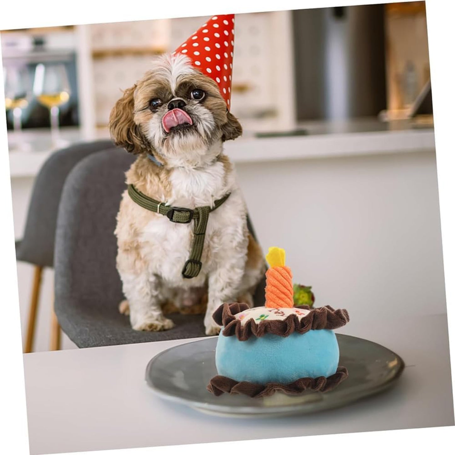 Soft and Adorable Medium and Large Plush Dog Toy Blue Birthday Cake